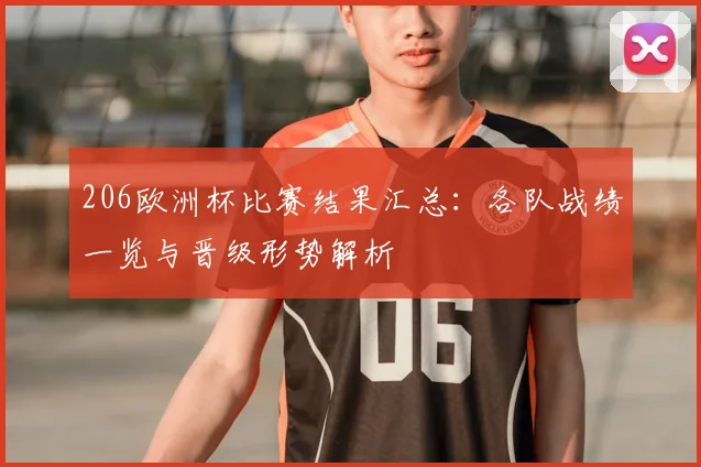 206欧洲杯比赛结果汇总：各队战绩一览与晋级形势解析