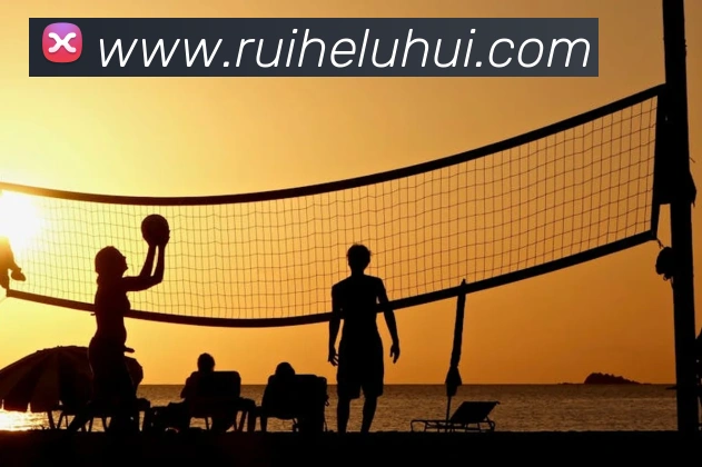 乐竞官网首页登录入口APP 封面图